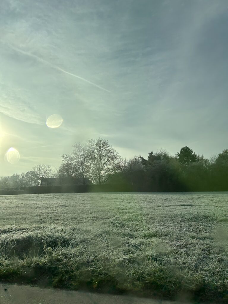 Een foto die ik genomen heb in mijn vrije tijd. Je ziet een wei met mooie zon en mist. case-pagina