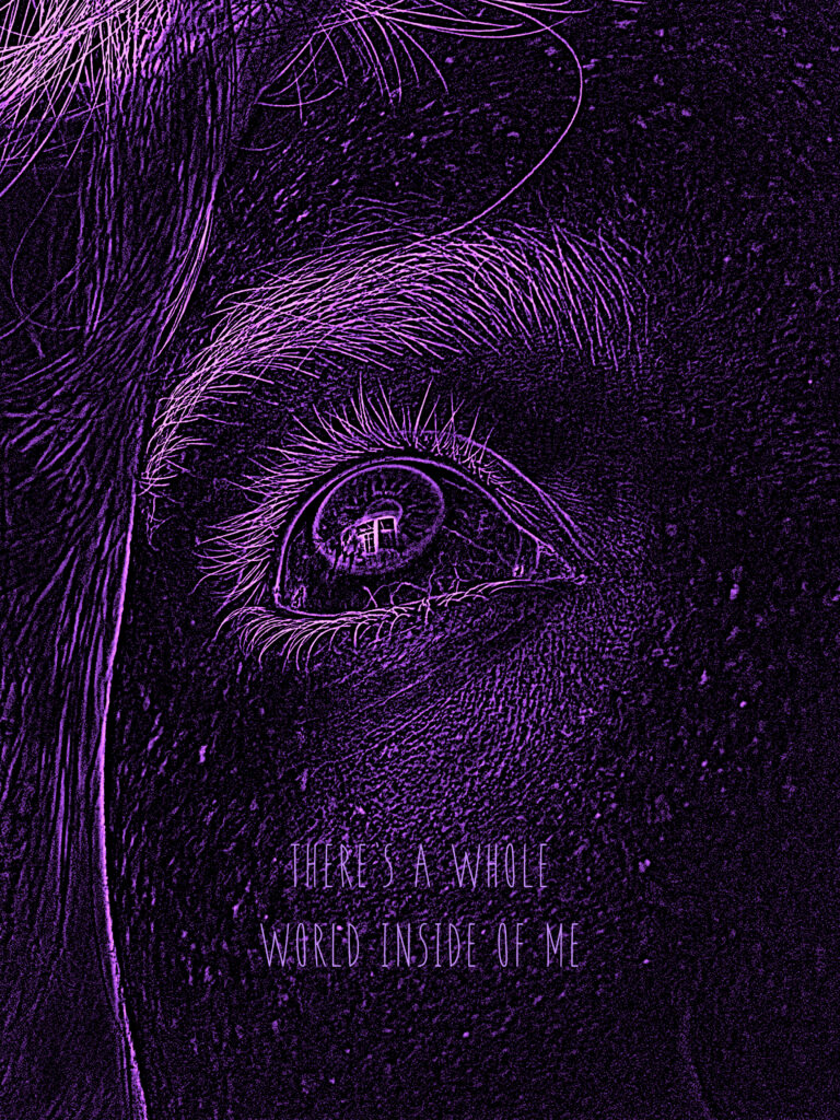 Een poster die ik gemaakt heb in mijn vrije tijd. Er staat een oog op en de tekst luidt "there's a whole world inside of me" case-pagina
